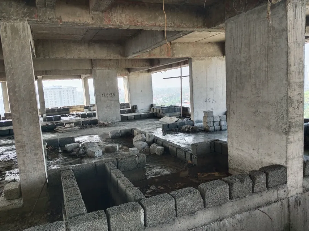 Confident Sunflower Project Schedule on 7th February 2026