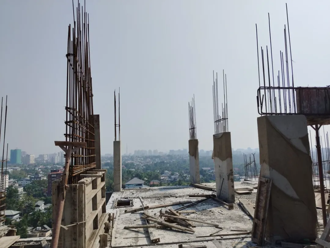 Confident Sunflower Project Schedule on 7th February 2026