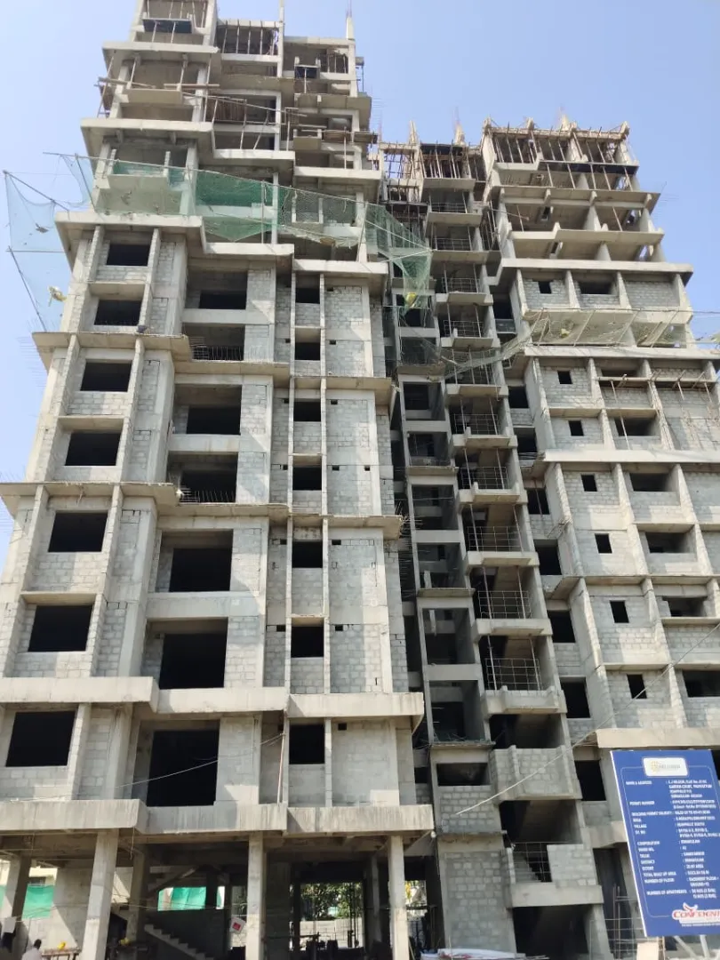 Confident Sunflower Project Schedule on 7th February 2026