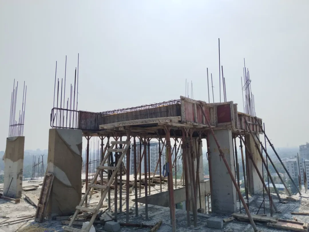 Confident Sunflower Project Schedule on 7th February 2026