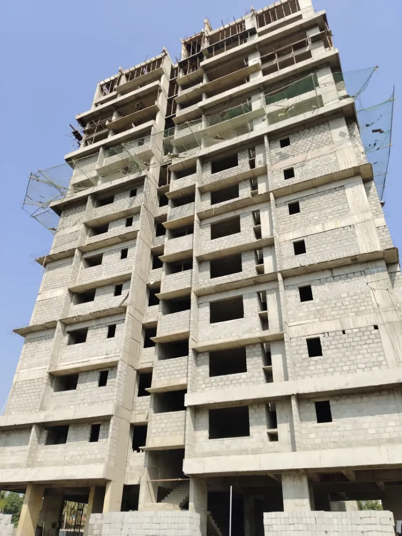 Confident Sunflower Project Schedule on 7th February 2026