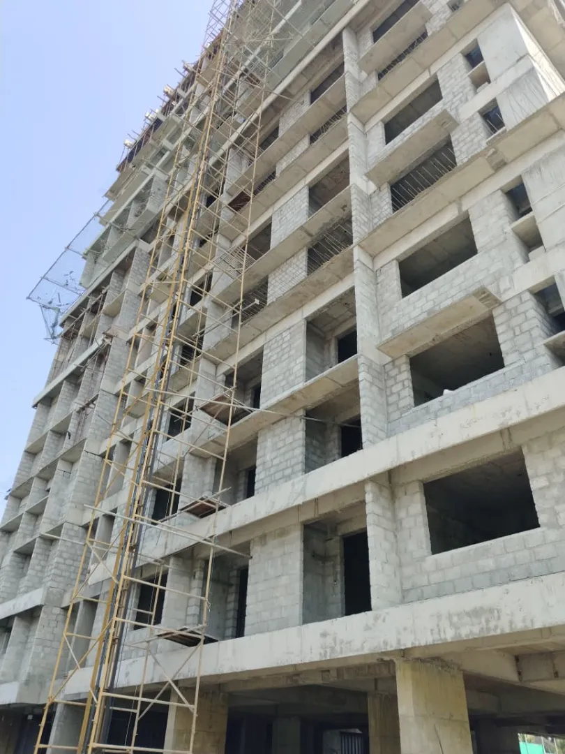 Confident Sunflower Project Schedule on 7th February 2026