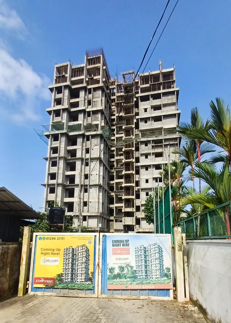 Confident Sunflower Project Schedule on 8th July 2026