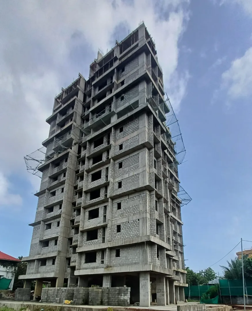Confident Sunflower Project Schedule on 8th July 2026