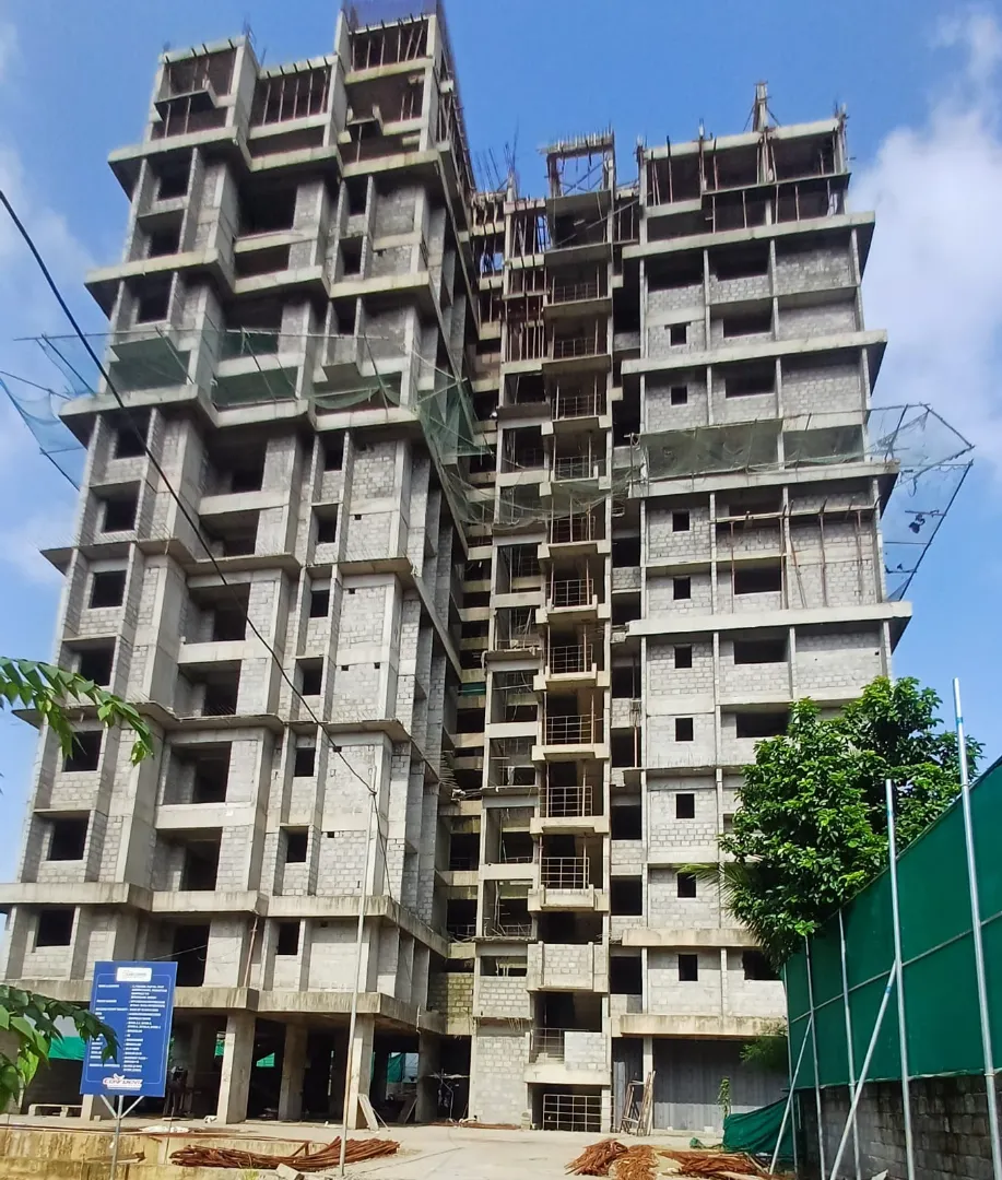 Confident Sunflower Project Schedule on 8th July 2026