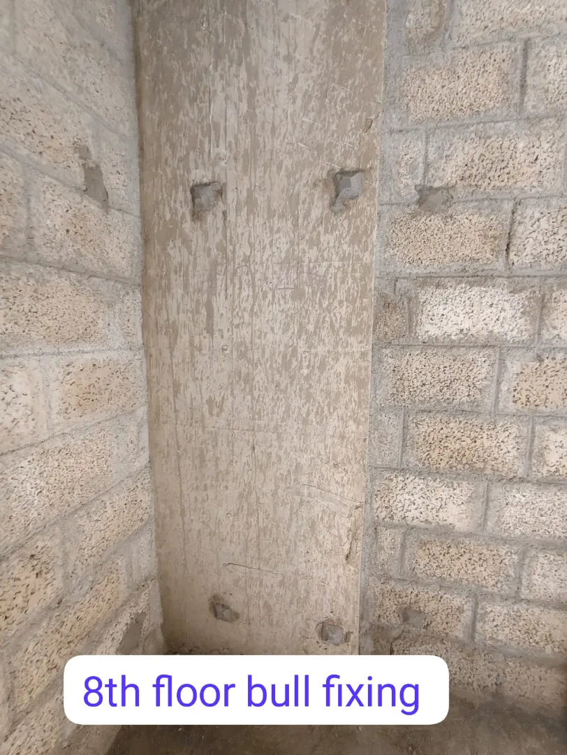 Confident Avenue Project Schedule on 9th February 2026