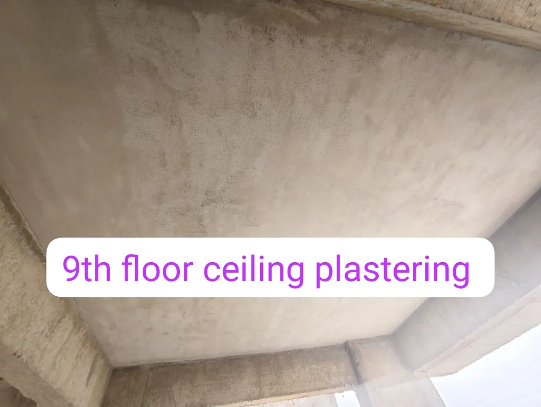 Confident Avenue Project Schedule on 9th February 2026