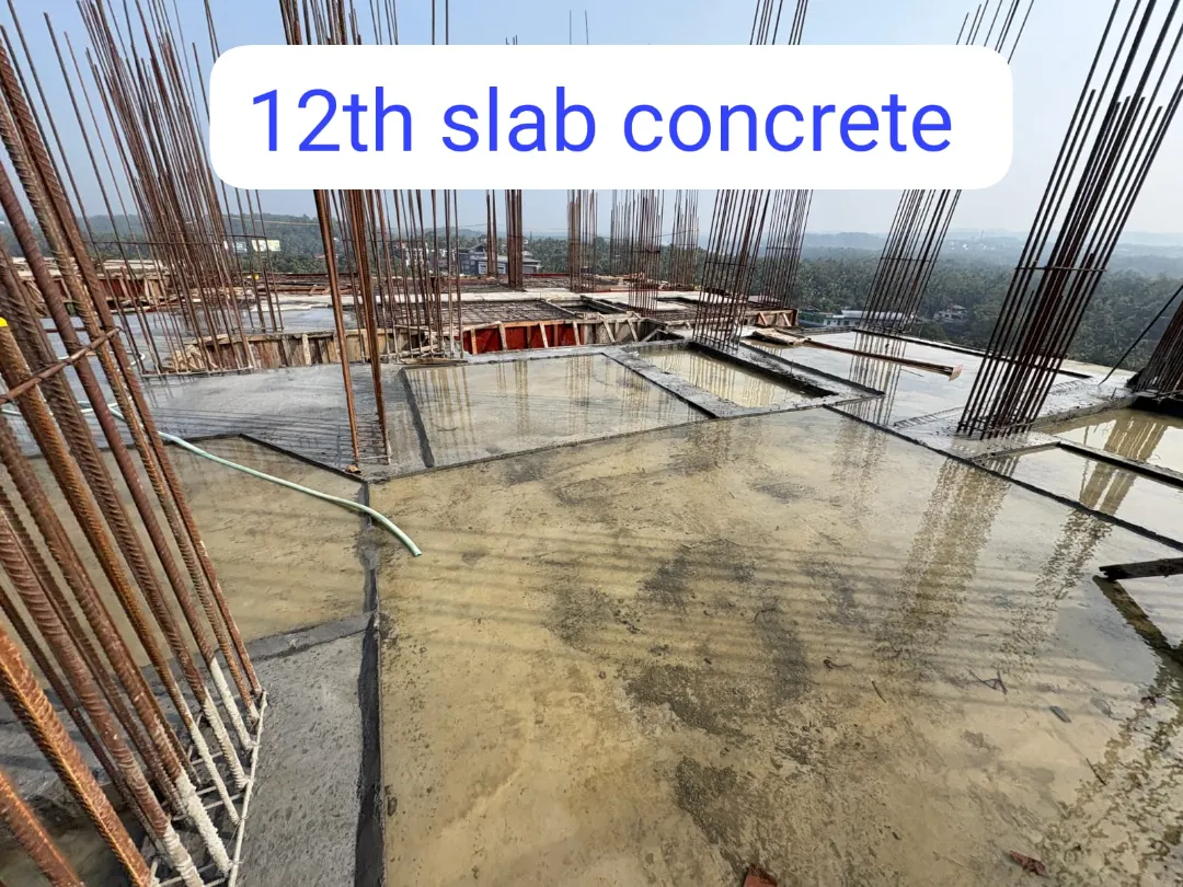 Confident Avenue Project Schedule on 9th February 2026