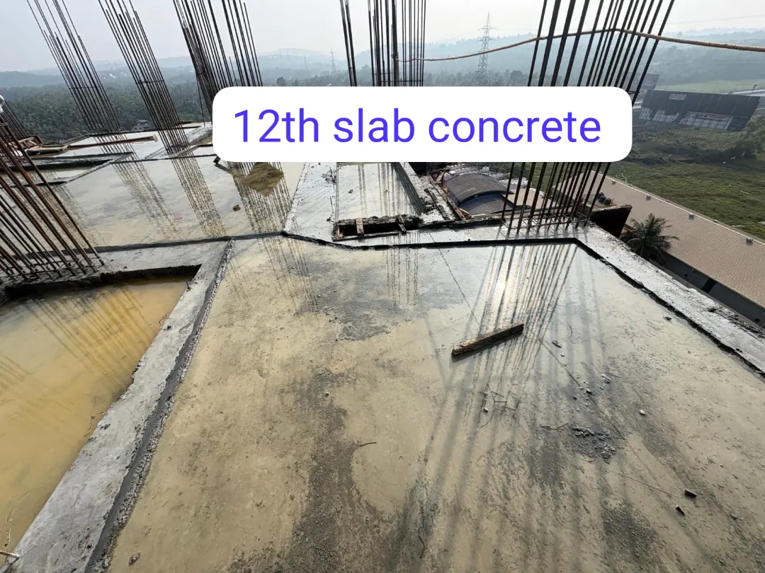 Confident Avenue Project Schedule on 9th February 2026