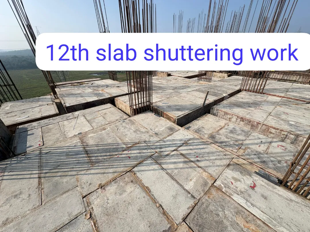 Confident Avenue Project Schedule on 9th February 2026