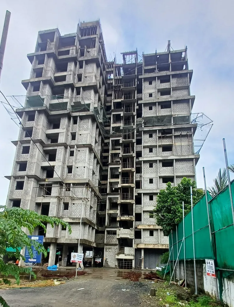 Confident Sunflower Project Schedule on 10th August 2026