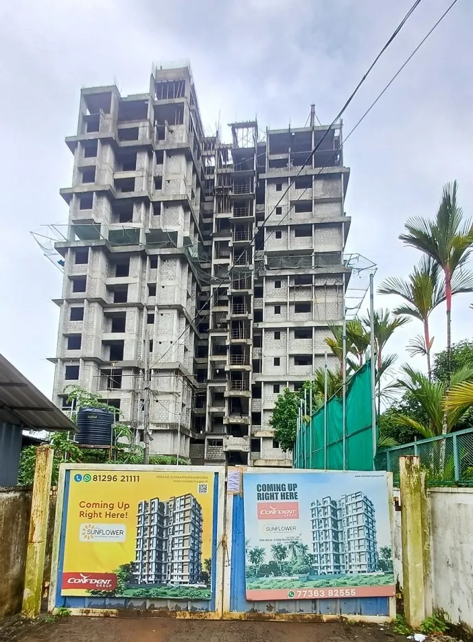 Confident Sunflower Project Schedule on 10th August 2026