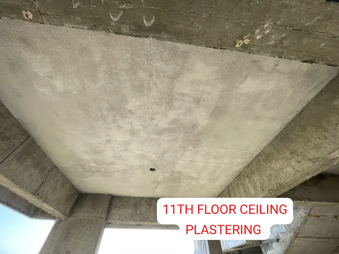 Confident Avenue Project Schedule on 10th April 2026