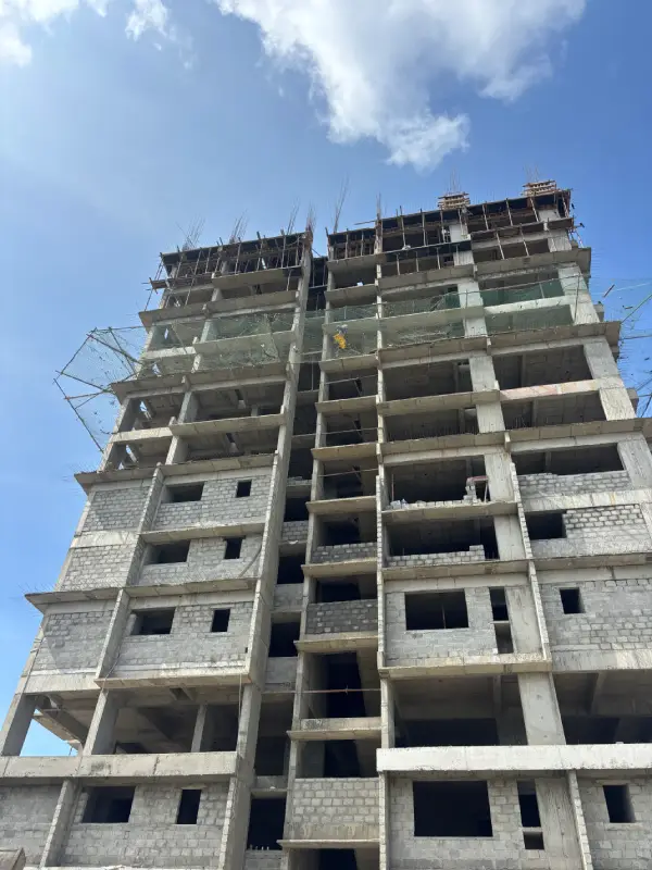 Confident Sunflower Project Schedule on November 10th, 2025