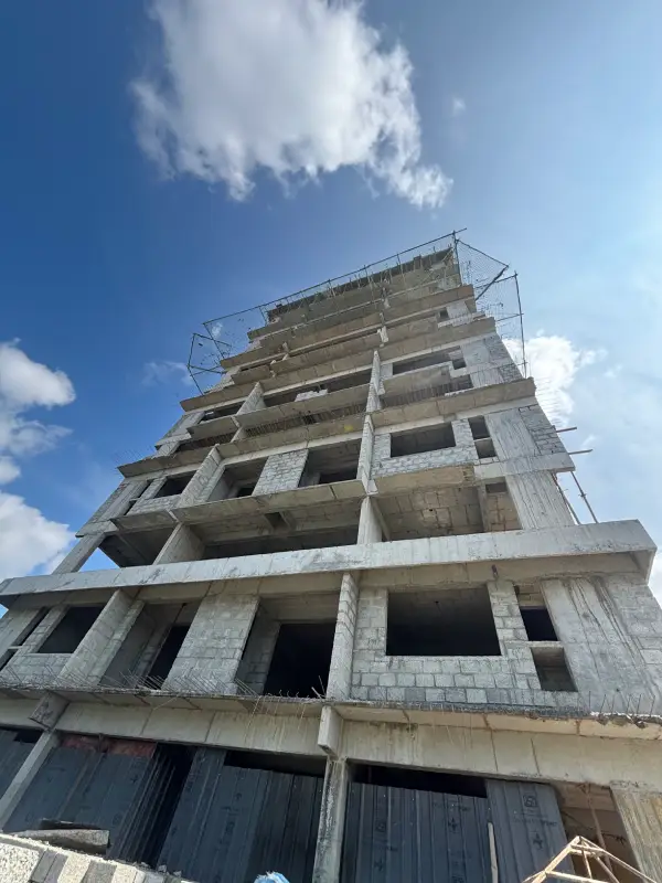 Confident Sunflower Project Schedule on November 10th, 2025