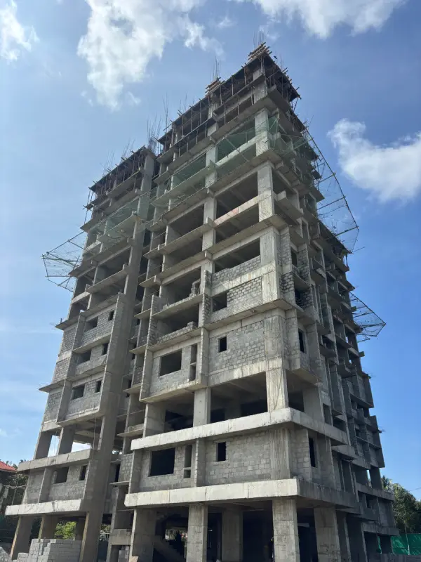 Confident Sunflower Project Schedule on November 10th, 2025