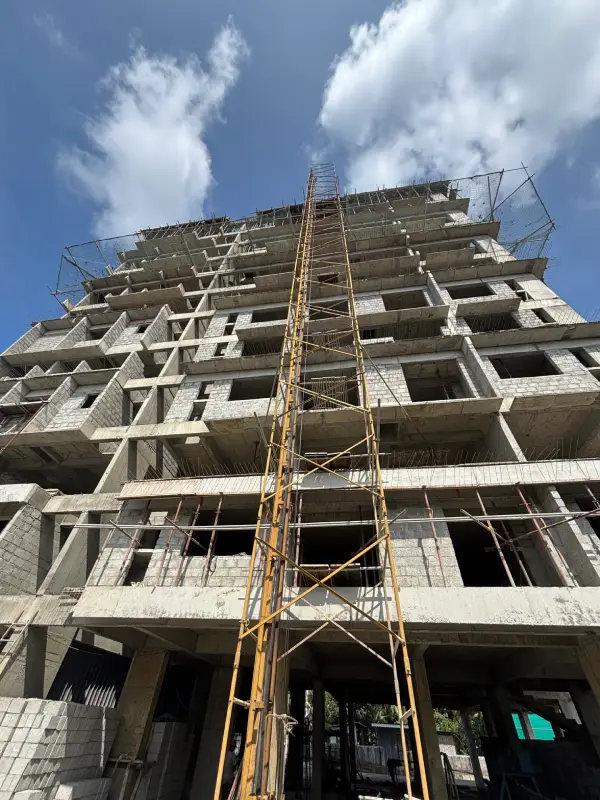 Confident Sunflower Project Schedule on November 10th, 2025