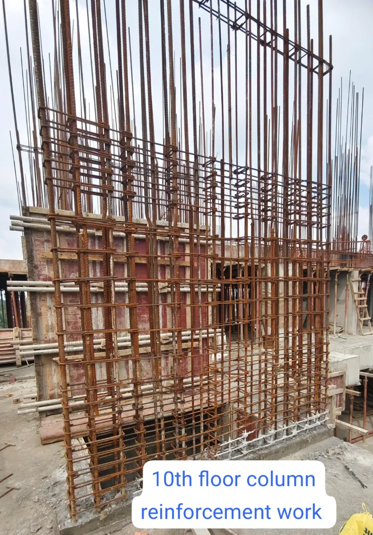 Confident Avenue Project Schedule on 12th December 2025