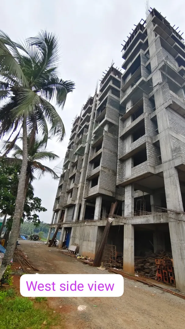 Confident Avenue Project Schedule on 12th December 2025