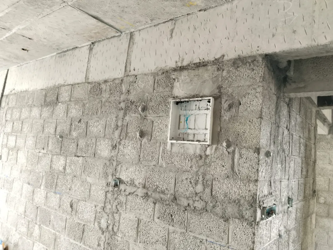 Confident Sunflower Project Schedule on December 11th, 2025