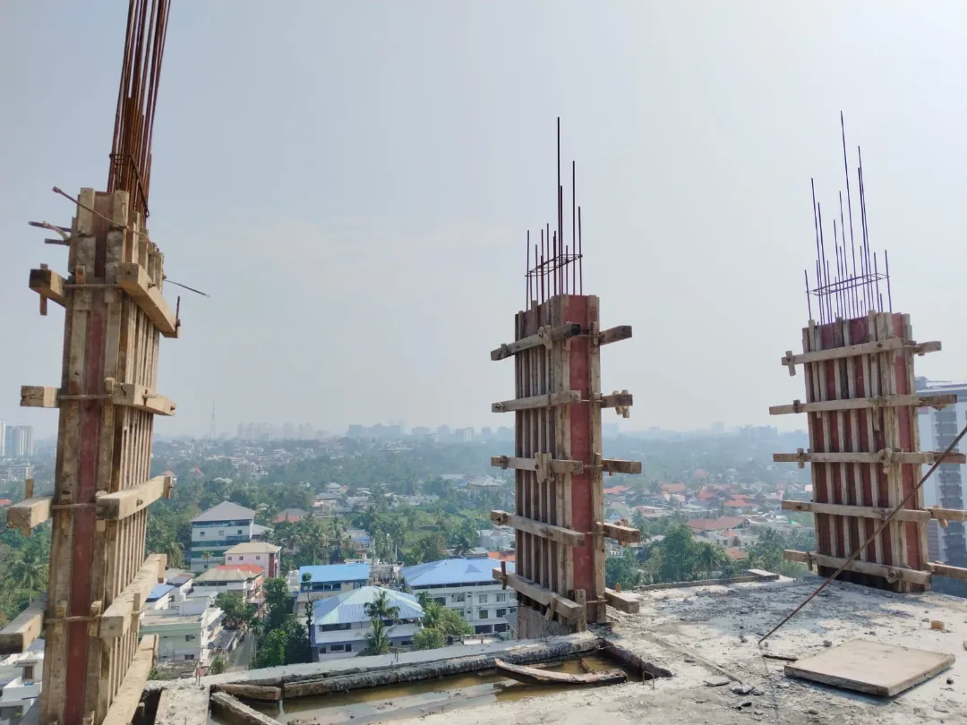 Confident Sunflower Project Schedule on December 11th, 2025