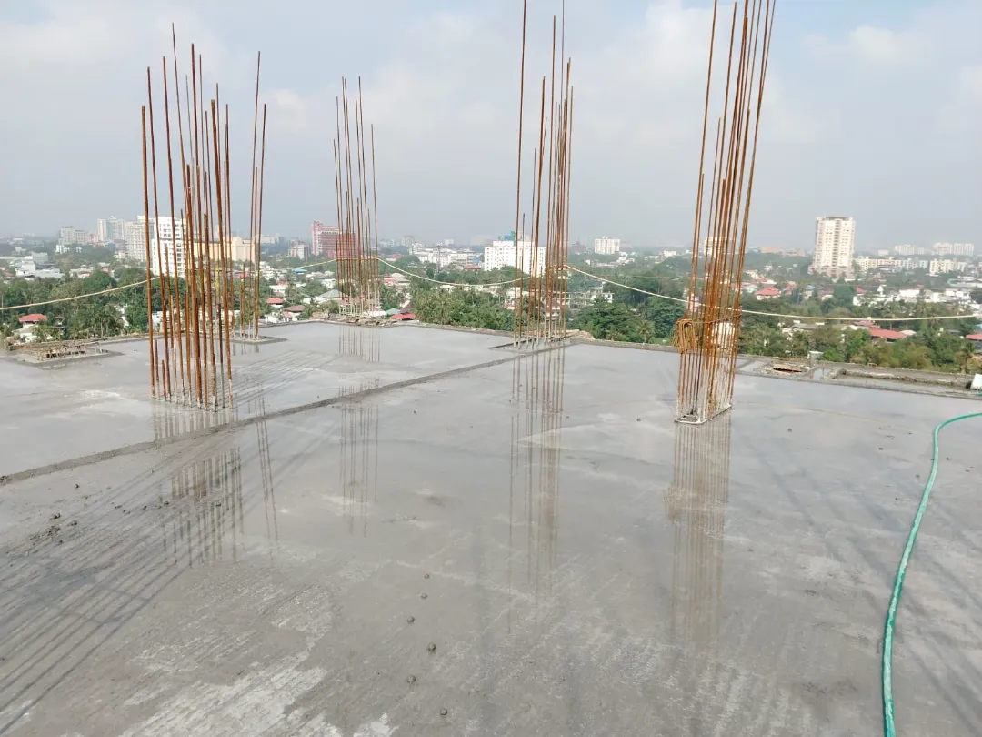 Confident Sunflower Project Schedule on December 11th, 2025