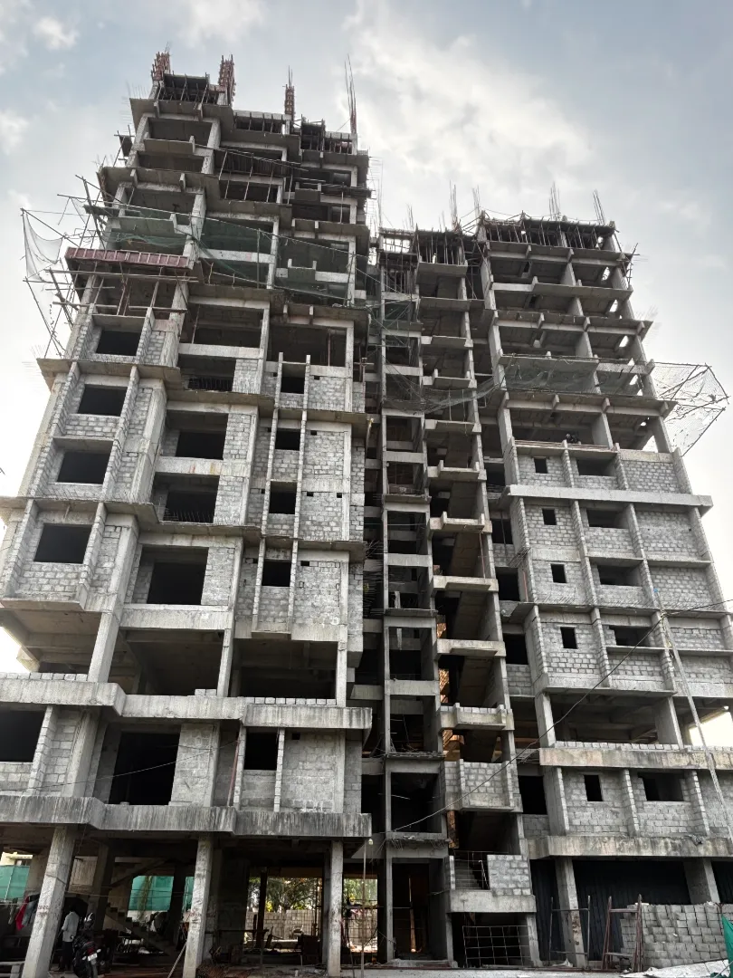 Confident Sunflower Project Schedule on December 11th, 2025