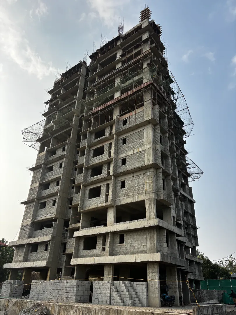 Confident Sunflower Project Schedule on December 11th, 2025