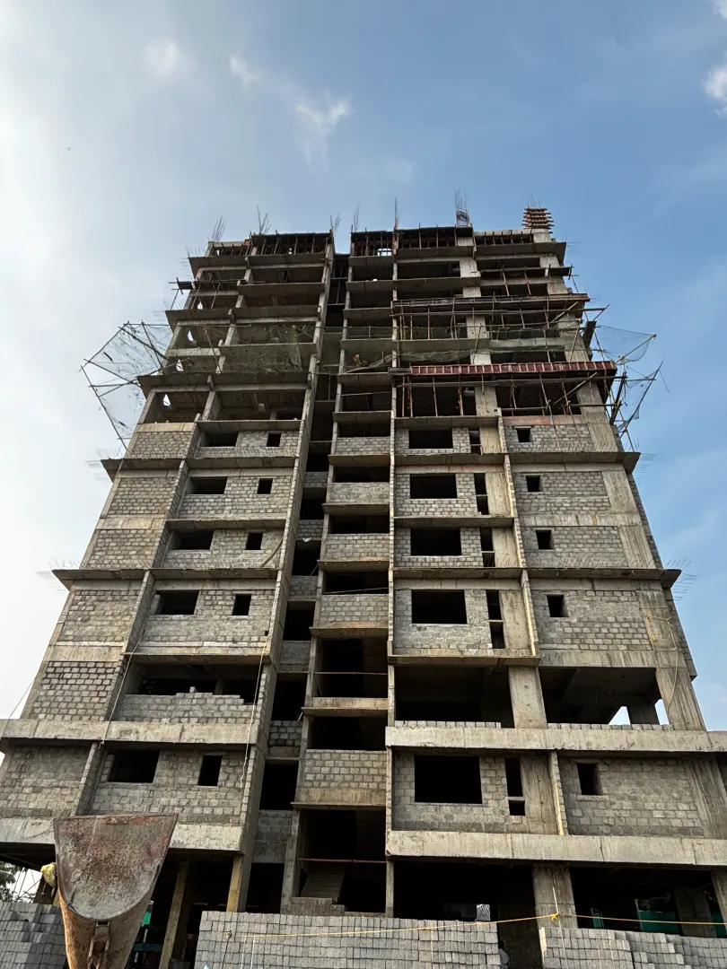 Confident Sunflower Project Schedule on December 11th, 2025