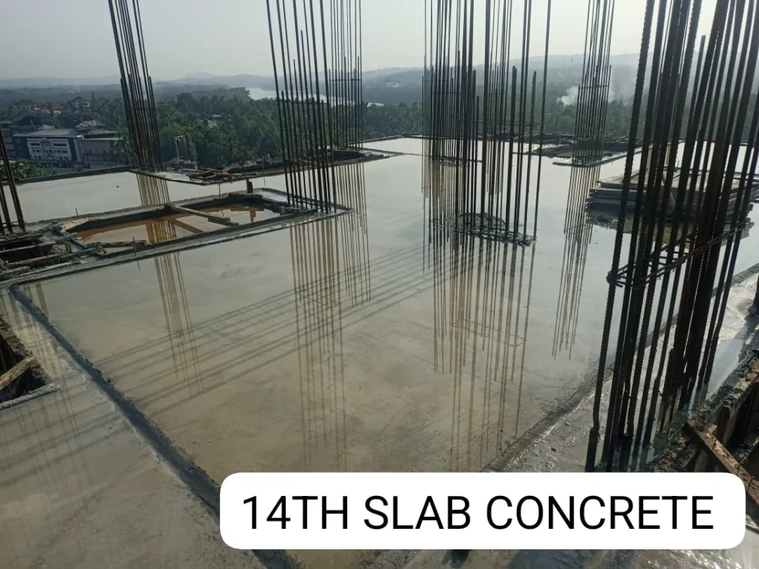 Confident Avenue Project Schedule on 8th May 2026