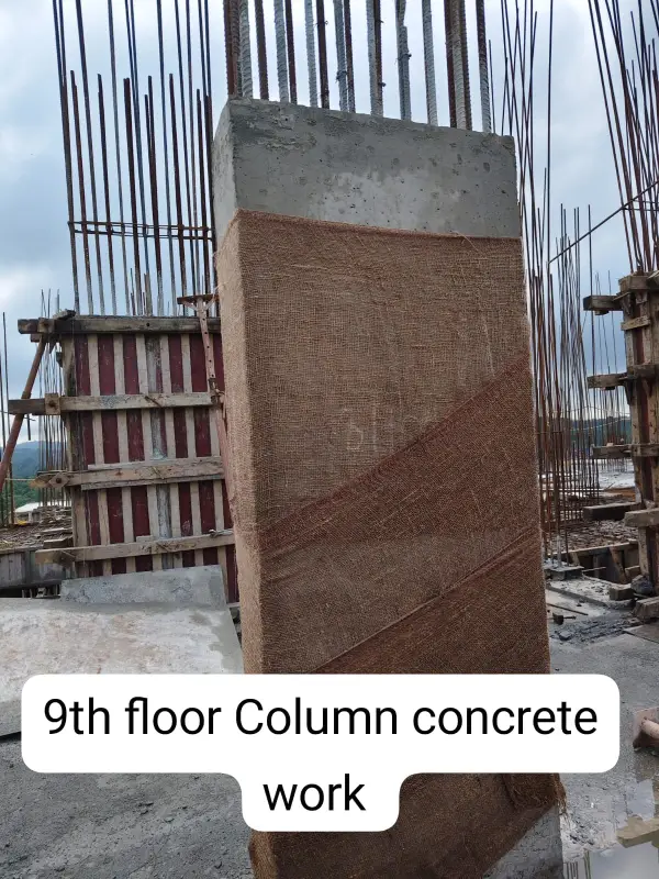 Confident Avenue Project Schedule on 12th November 2025