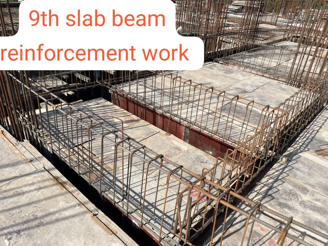 Confident Avenue Project Schedule on 13th October 2025