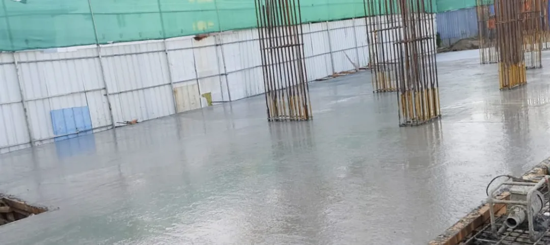 Confident Heritage Project Schedule on 9th February 2026