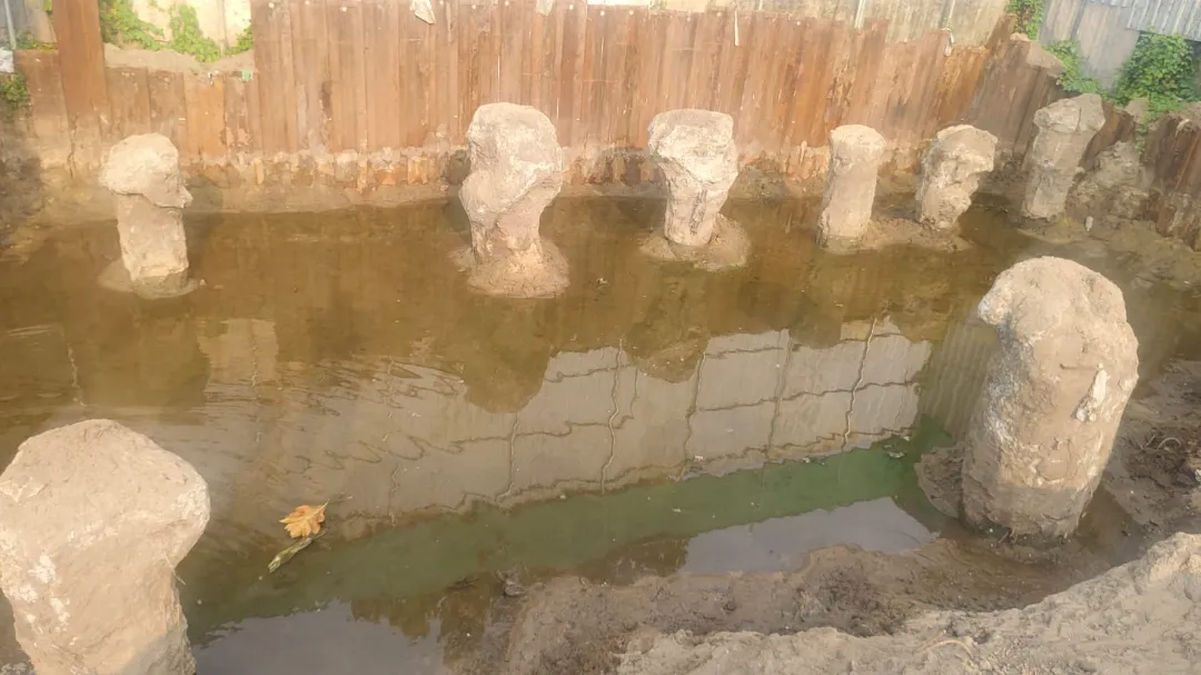 Confident Heritage Project Schedule on 9th March 2026