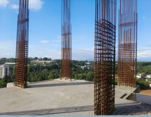 Confident Silver Oak Project Schedule on 07th June 2026