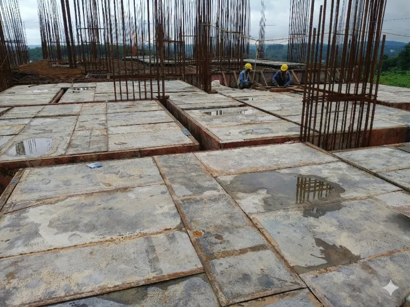 Confident Silver Oak Project Schedule on 07th June 2026