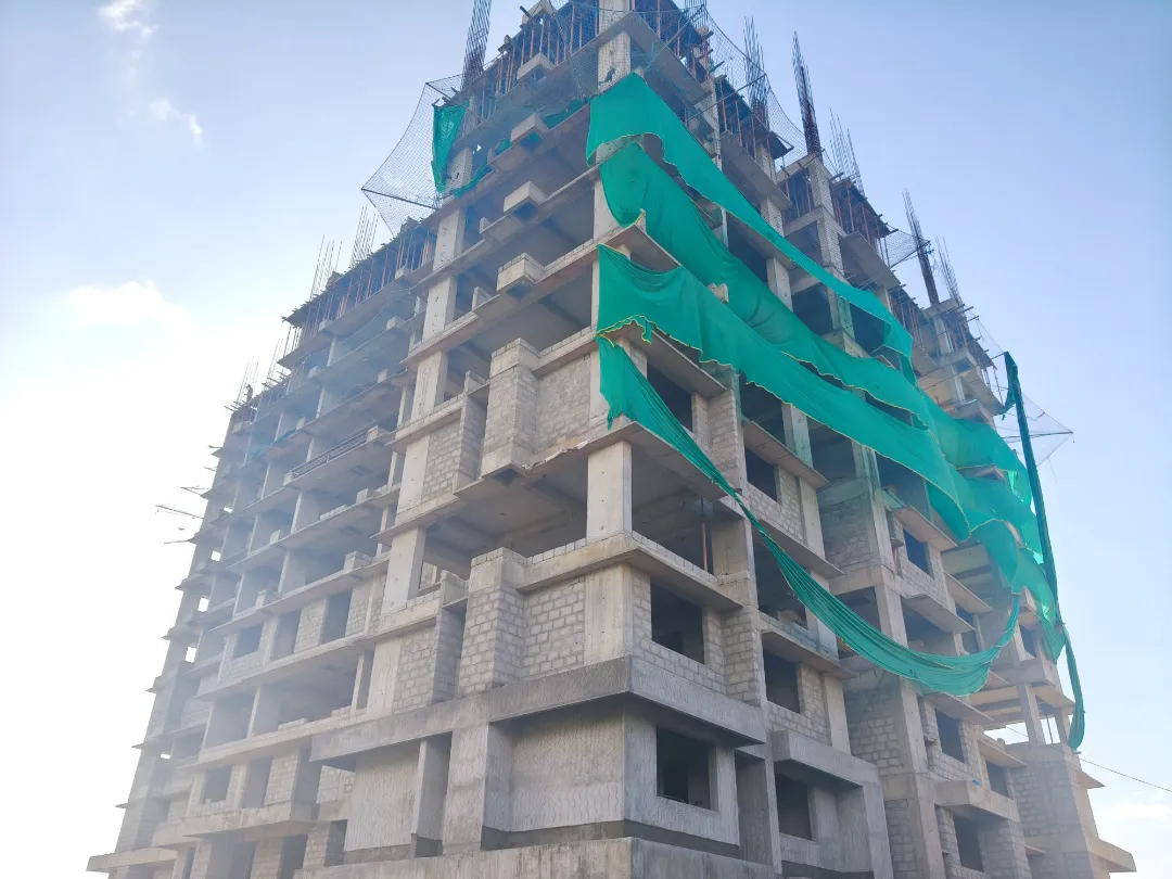 Confident Silver Oak Project Schedule on 07th June 2026