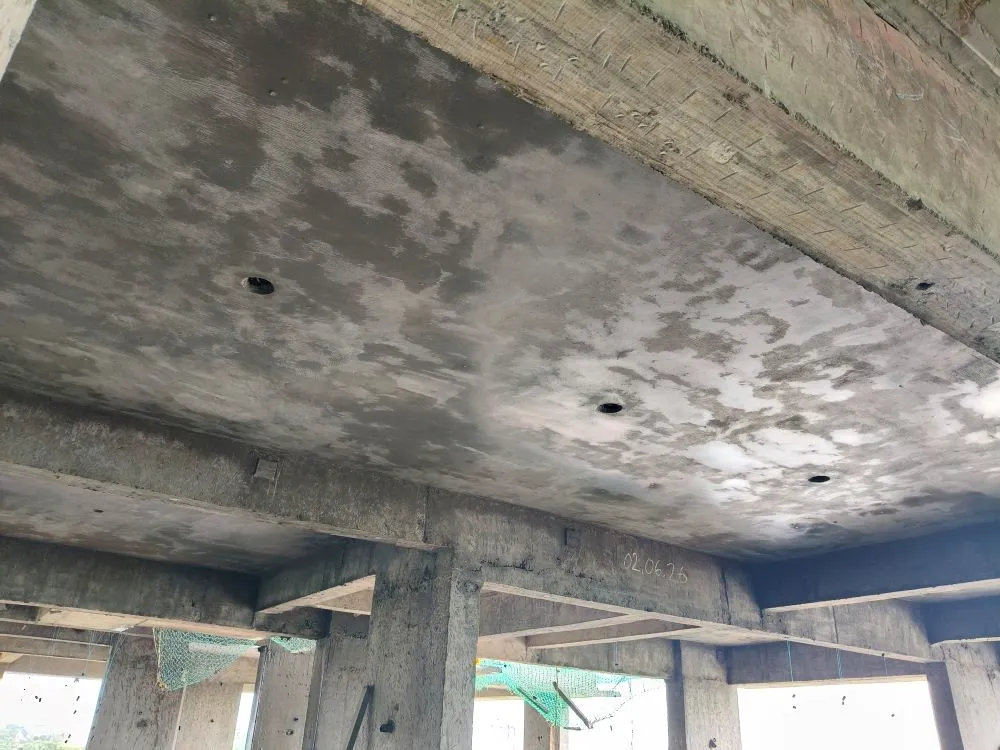 Confident Silver Oak Project Schedule on 07th June 2026