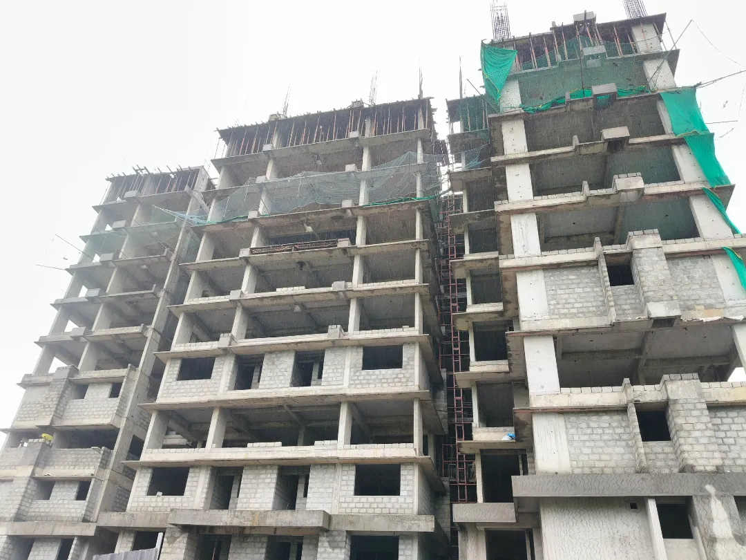 Confident Silver Oak Project Schedule on 07th June 2026