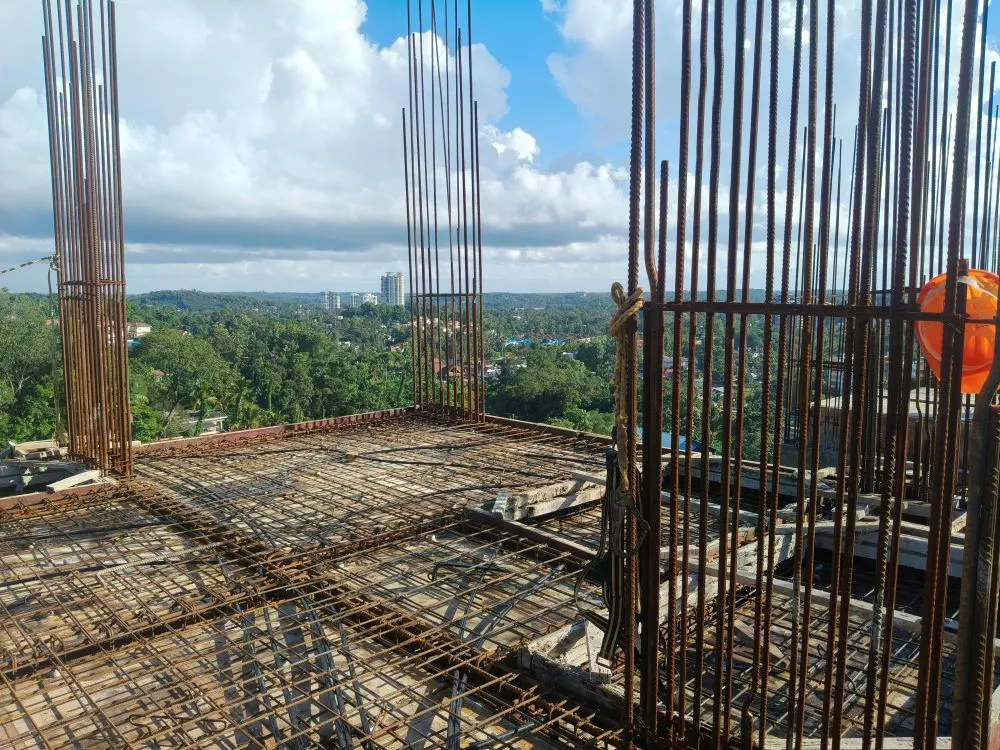 Confident Silver Oak Project Schedule on 07th June 2026