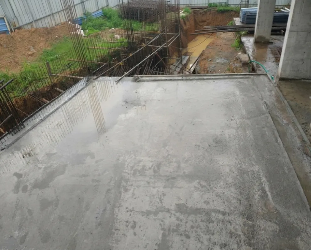 Confident Silver Oak Project Schedule on 07th June 2026