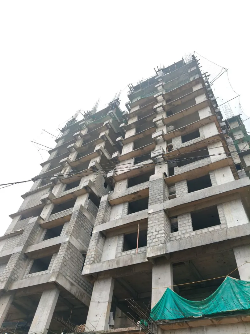 Confident Silver Oak Project Schedule on 07th June 2026