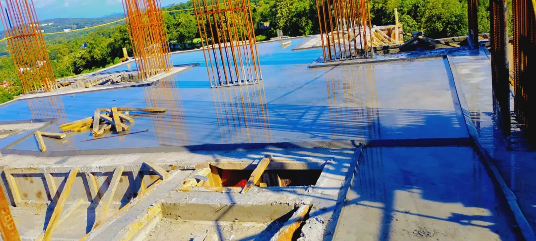 Confident Silver Oak Project Schedule on 7th September 2026