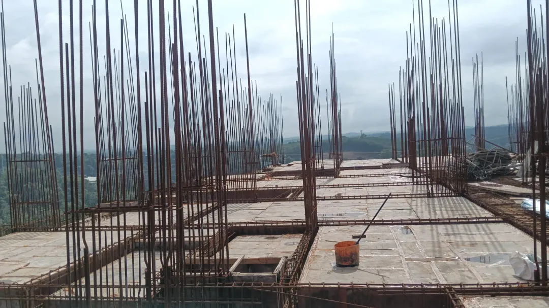 Confident Silver Oak Project Schedule on 7th September 2026