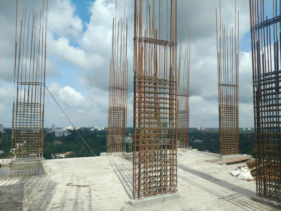 Confident Silver Oak Project Schedule on 7th September 2026
