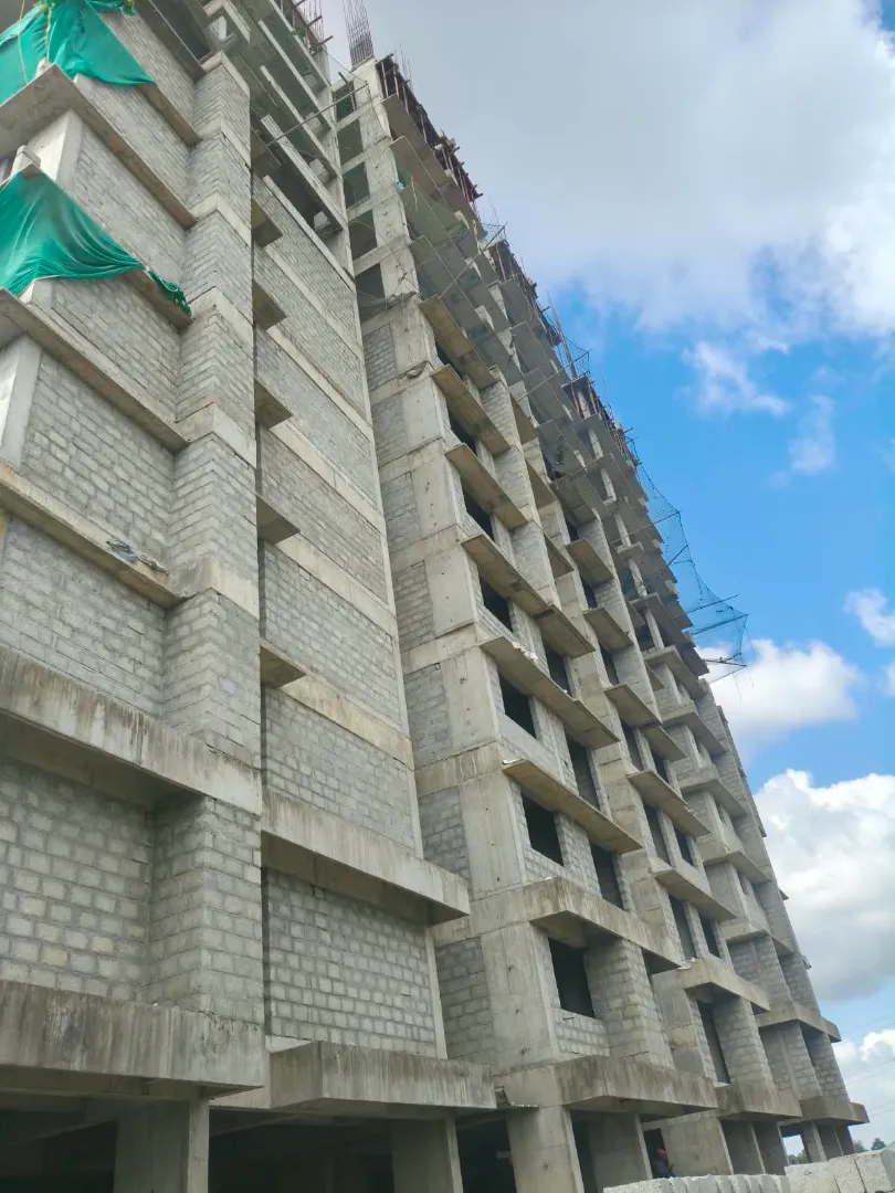 Confident Silver Oak Project Schedule on 7th September 2026