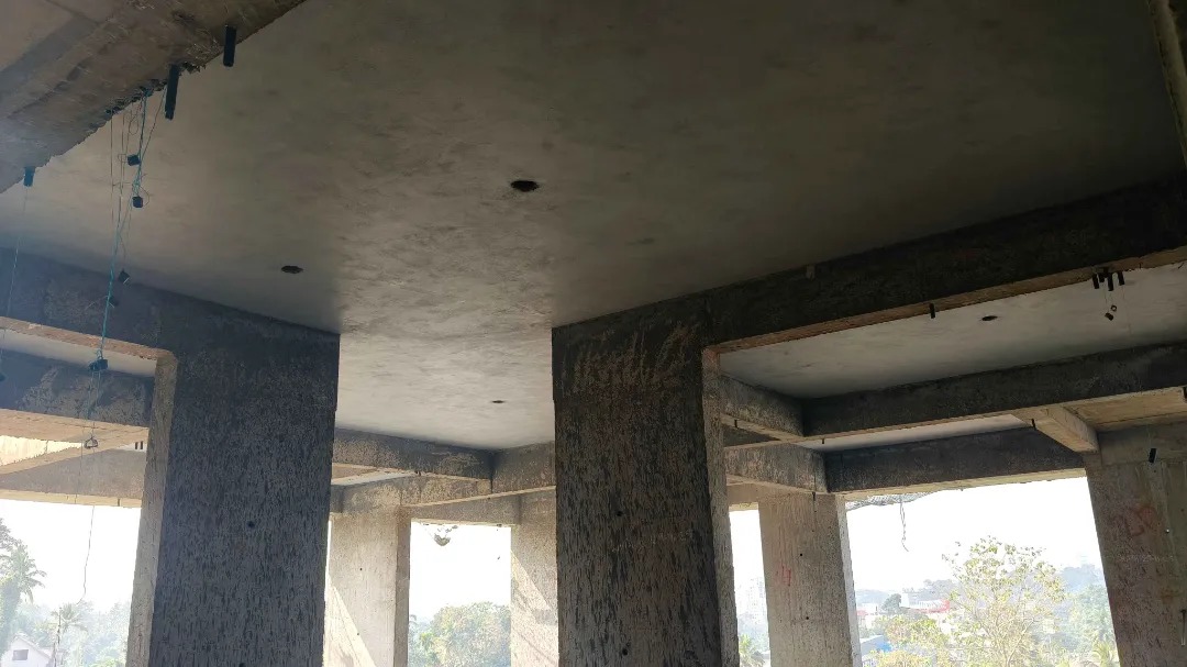 Confident Silver Oak Project Schedule on 8th January  2026