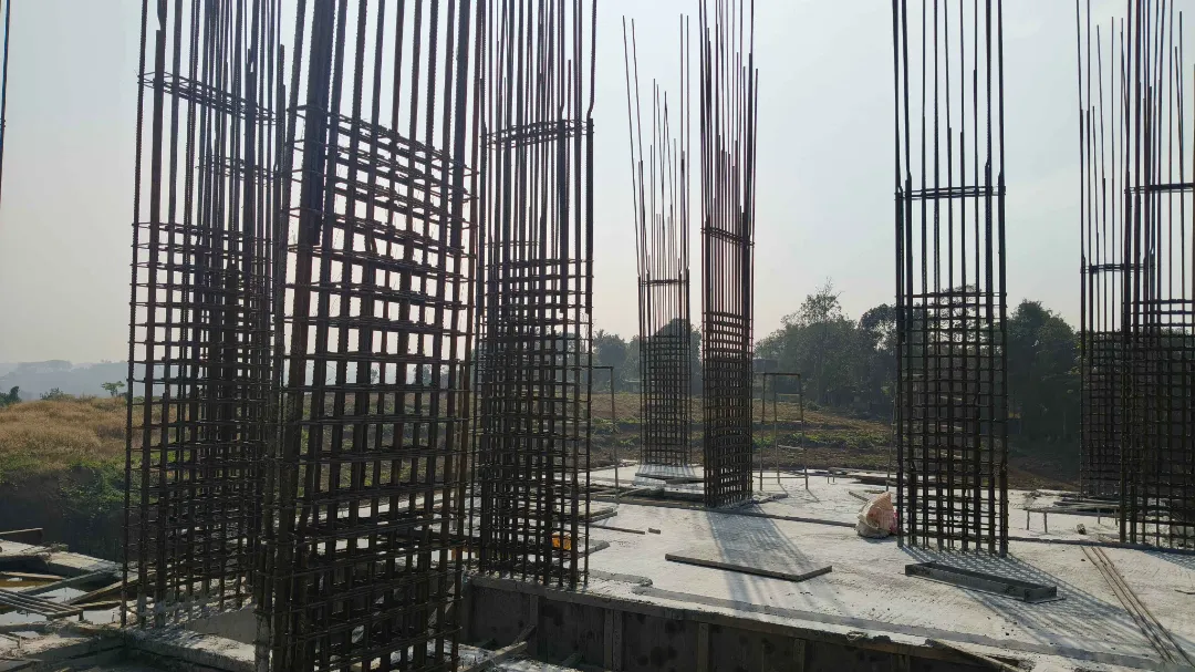 Confident Silver Oak Project Schedule on 8th January  2026