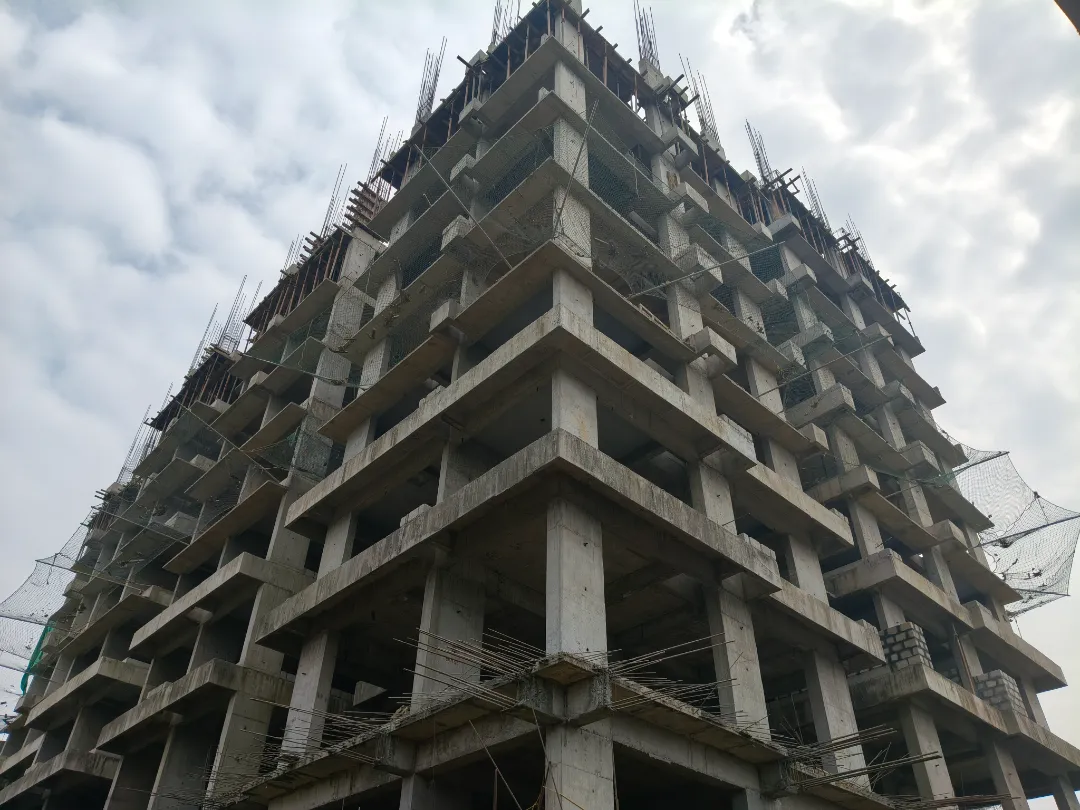 Confident Silver Oak Project Schedule on 8th January  2026