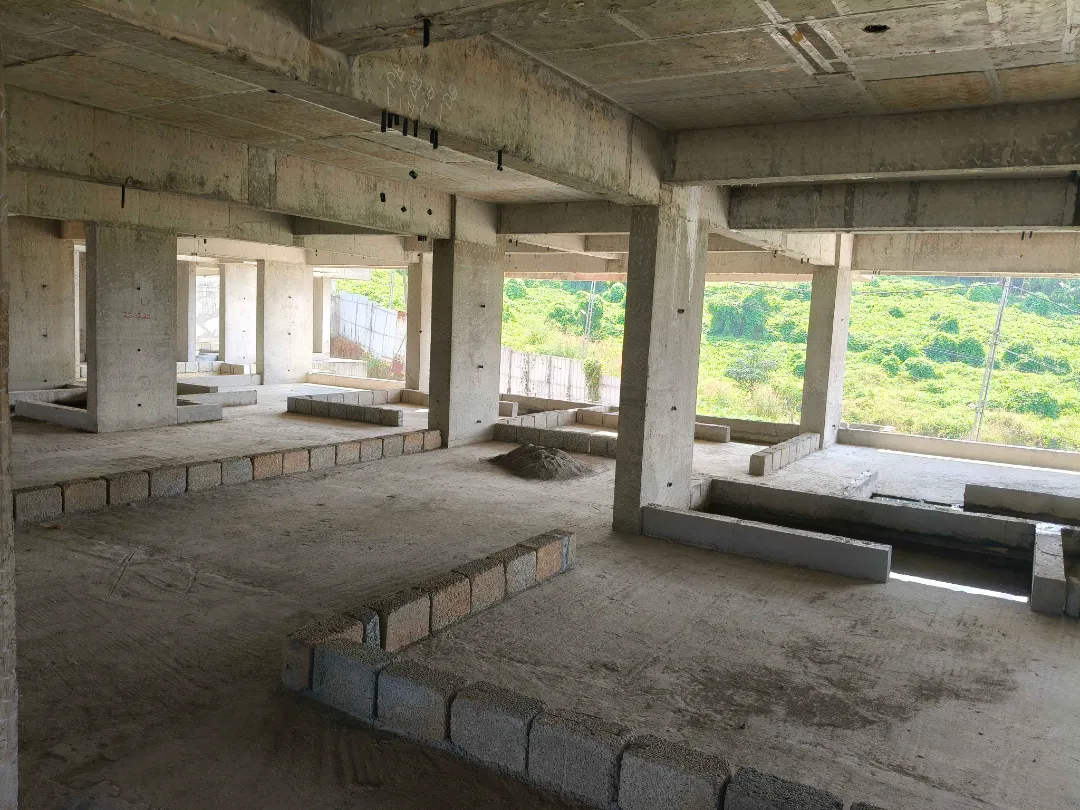 Confident Silver Oak Project Schedule on 8th January  2026